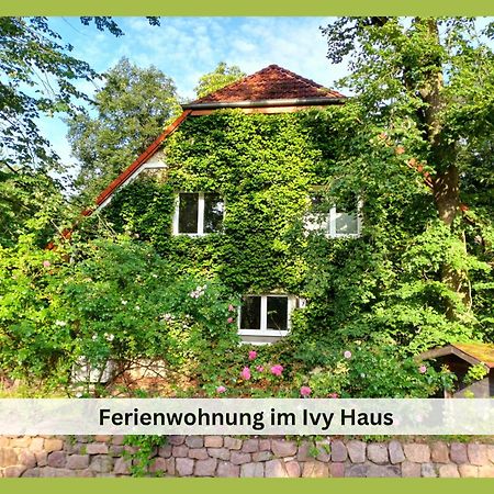 Ivy Haus Daire Falkensee Dış mekan fotoğraf